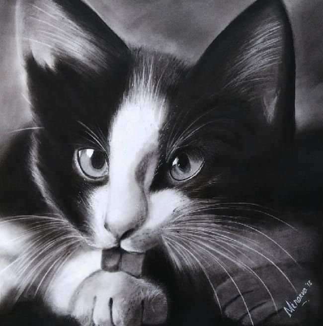 WhatsApp Image 2024-09-06 at 18.31.22_27610959